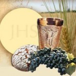 kruhvino